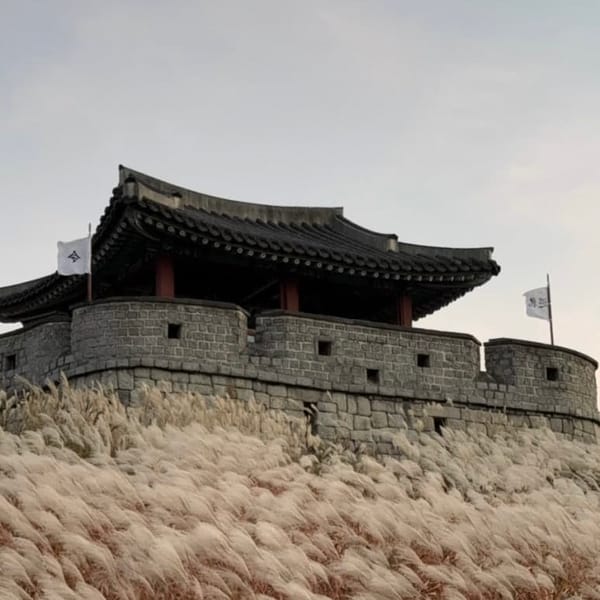 Day Trip to Suwon Hwaseong Fortress: Walking Tour Recommendations